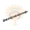 2521 otomarsan camshaft